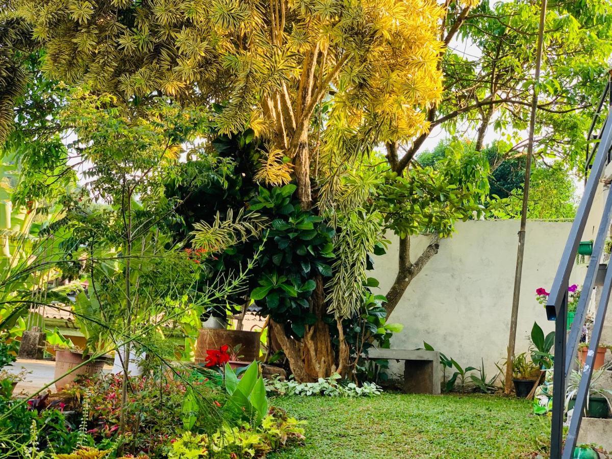 Hotel Heaven Breeze Kandy Exterior foto